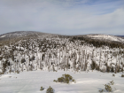 Šumava 2017